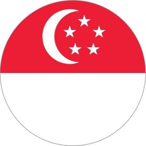 Notarisation and legalisation services for Singapore